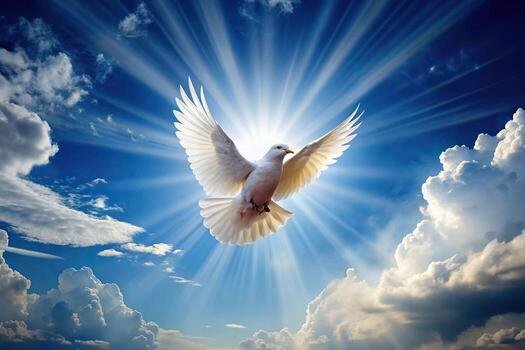 dove-flying-in-the-sky-with-light-shining-down-representing-the-holy-spirit-photo.jpg