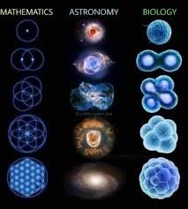 Slika_7._Slika_Matematike_Astronomije_i_Biologije_kao_proces_razvoja.jpg
